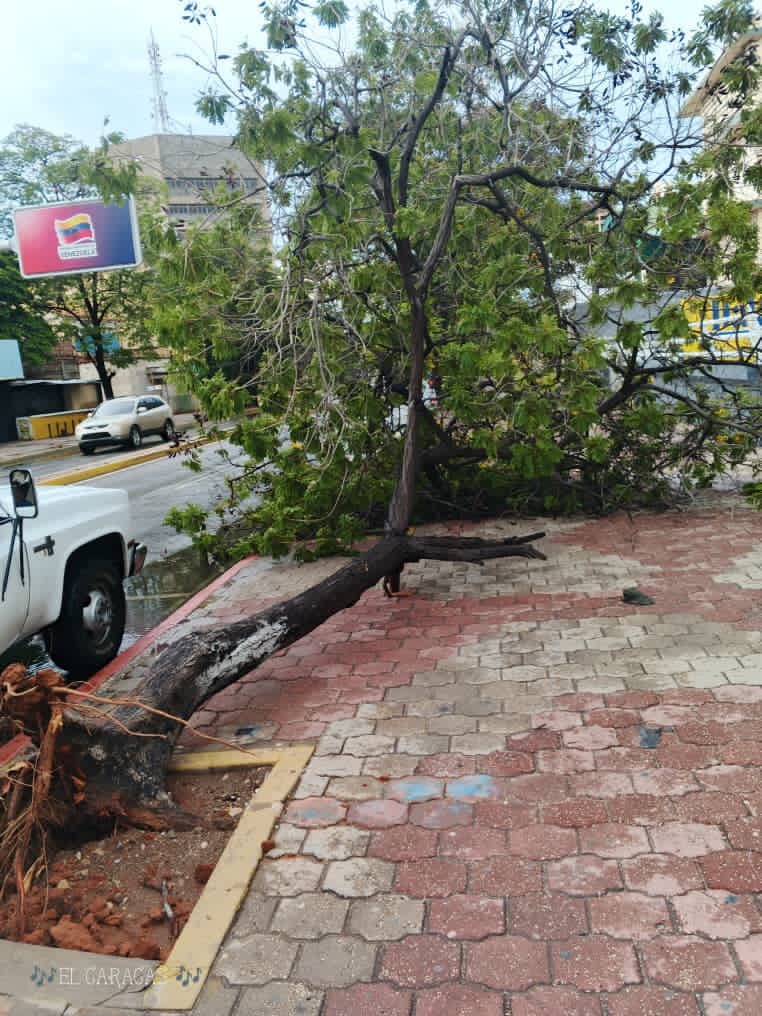Así quedó Maracaibo tras el paso de la onda tropical número 40 2 WhatsApp Image 2026 08 24 at 8.23.38 AM 1