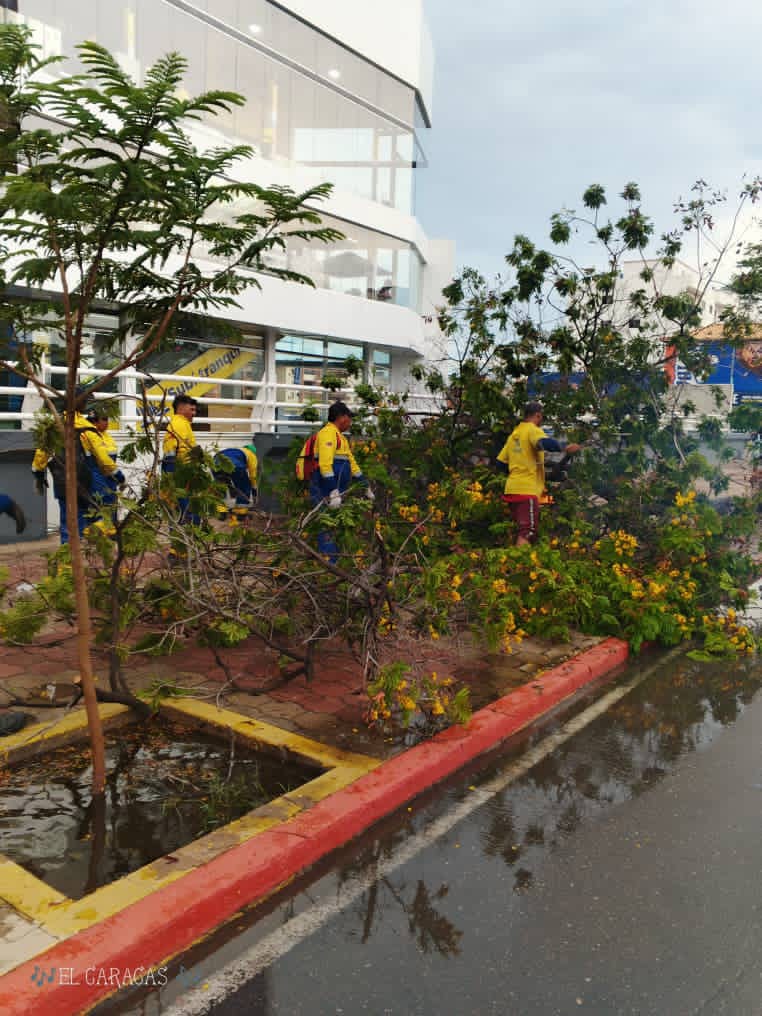 Así quedó Maracaibo tras el paso de la onda tropical número 40 4 WhatsApp Image 2026 08 24 at 8.23.38 AM