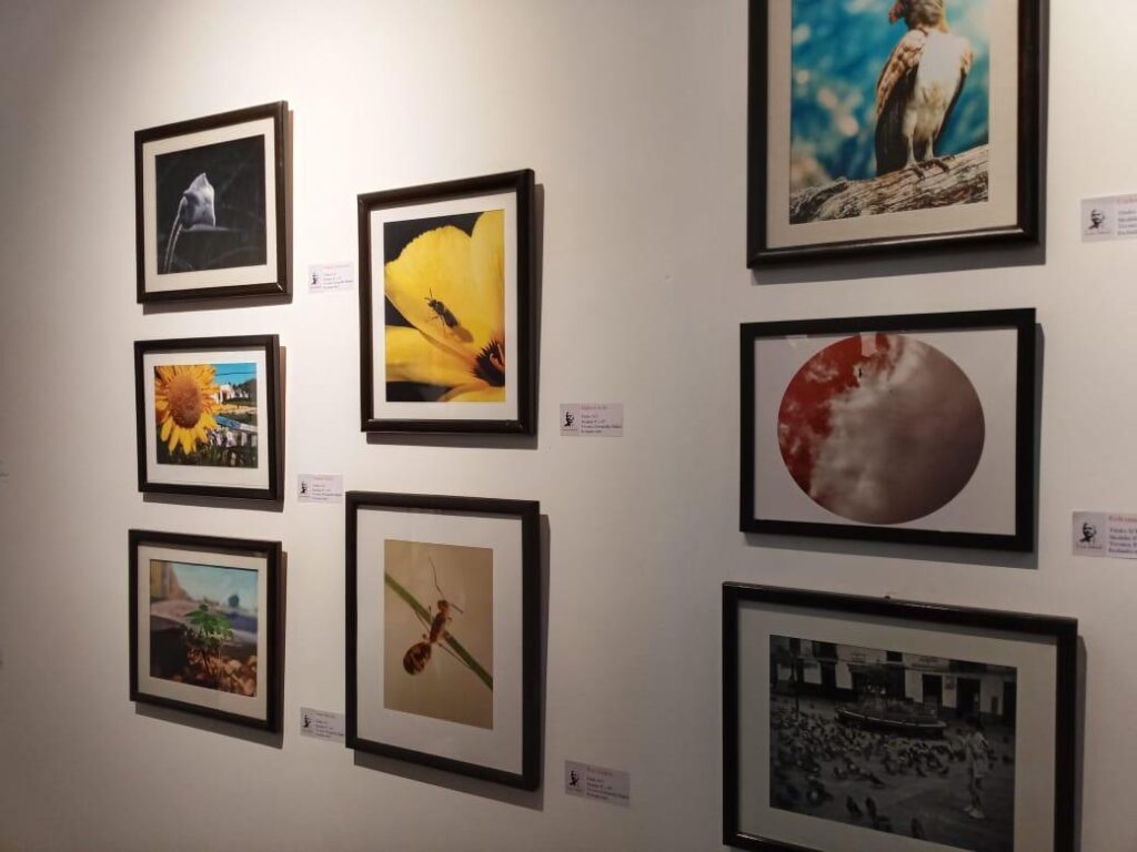 Secretaría de Cultura inaugura las muestras «Mi obra fecunda en el lienzo» y «8 horas después» 3 WhatsApp Image 2026 08 31 at 11.17.04 AM 1