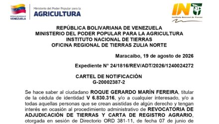 YYIsaLpE LOS MECOQUES