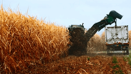 Productores venezolanos piden frenar importación de azúcar refinada 2 Azúcar