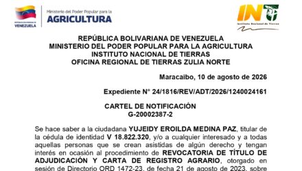 gTKDJZtv MI ESPERANZA