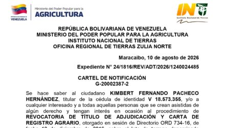 gtziUAXF LAS CAMELIAS II