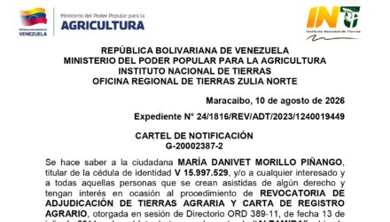 hwfbeS5X ALTAMIRA