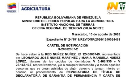 kKMTm1z7 LOS MONTUNOS