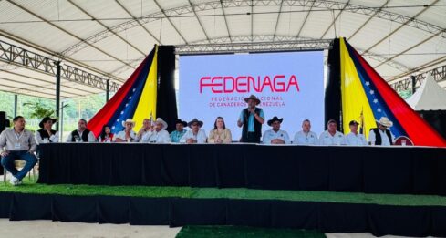Fedenaga