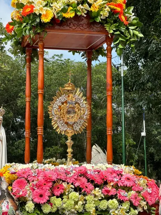Virgen de Coromoto