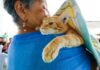 Concejo Municipal y el Impa actualizan ordenanza de protección animal 7 Ordenanza
