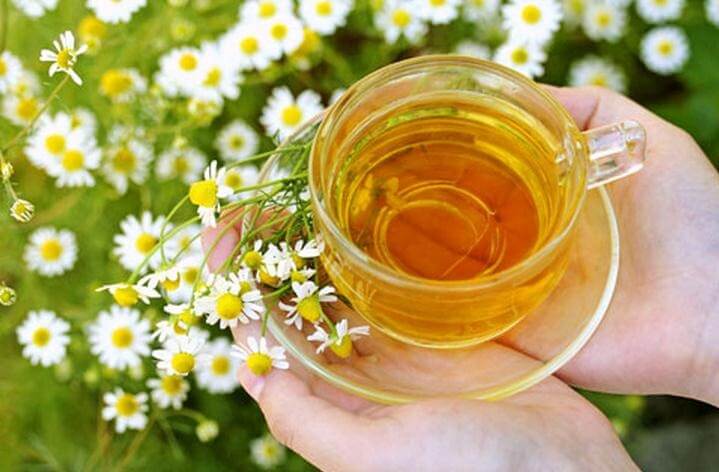 propiedades medicinales manzanilla