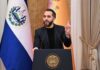 Bukele estudia liberar a un 50% de colaboracionistas con los pandilleros 6 Bukele