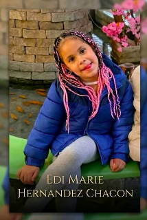 Asesinaron a puñaladas a una niña venezolana en Chicago. Identificada la asesina (Actualizada) 2 Captura de pantalla 2026 10 05 a las 8.04.49 a. m