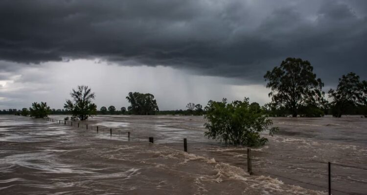 ONU alertó de que El Niño puede alcanzar una «intensidad sin precedentes» 1 Niño