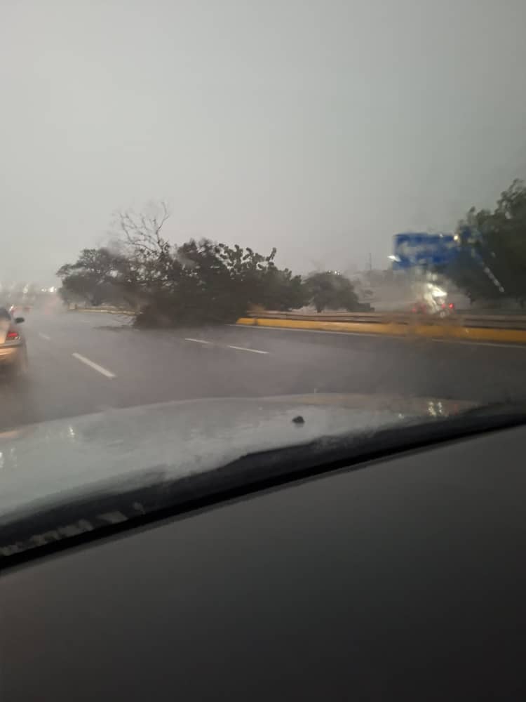 Organismos de prevención atendieron afectaciones tras fuerte aguacero con vientos huracanados de este #03oct 6 PHOTO 2026 10 03 19 47 49