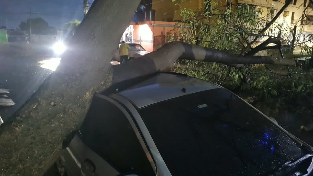 Organismos de prevención atendieron afectaciones tras fuerte aguacero con vientos huracanados de este #03oct 3 PHOTO 2026 10 03 19 51 42