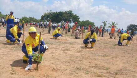 Ministro de Ecosocialismo Nelson Rodríguez lideró jornada de siembra en Vereda del Lago 5 Ministro