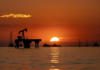 Pacific Coast Energy Company (PCEC) proyecta reactivar 900 pozos petroleros en Bloque Cabimas 5 Pozo